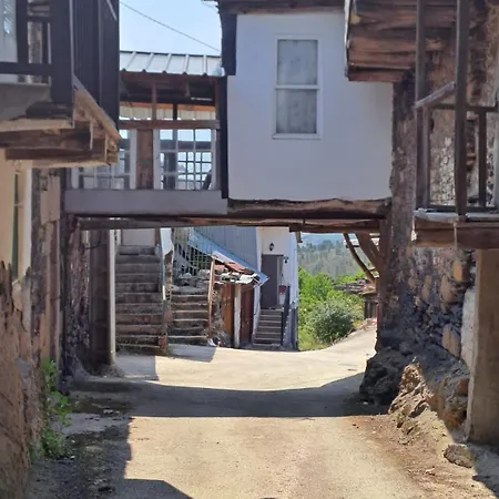 Casina Flor Do Maravillas Roblido